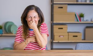 Getting Rid of Bad Smells in the Home