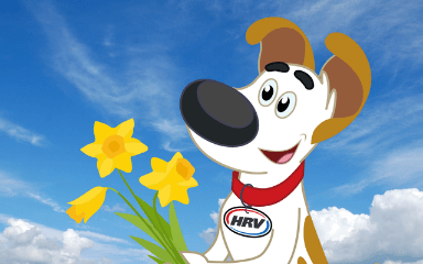 Breathe easy this Spring