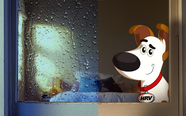 Show moisture the door