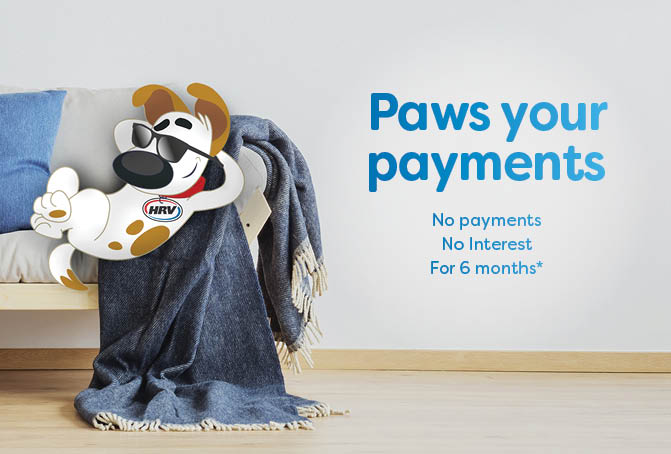 6 months no payments & no interest