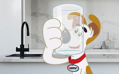 Whole home water filtration