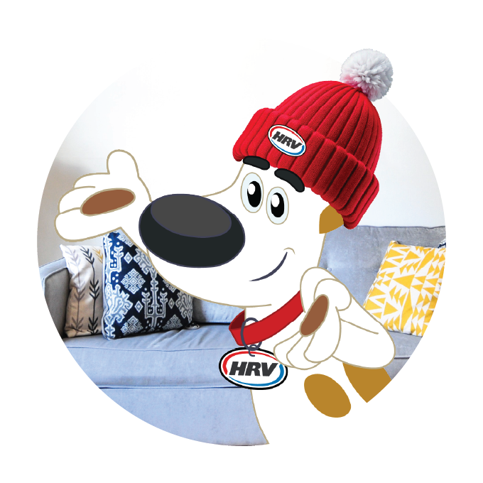 12 months No Interest and No Payments!*