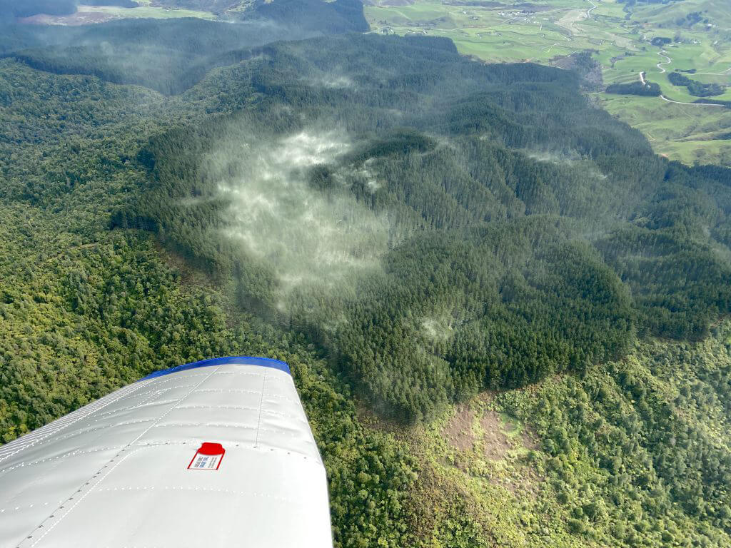 New Zealand braces for pollen invasion