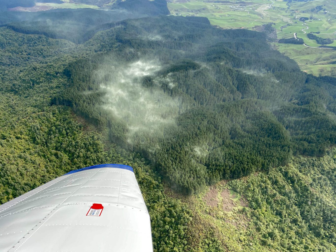 New Zealand braces for pollen invasion