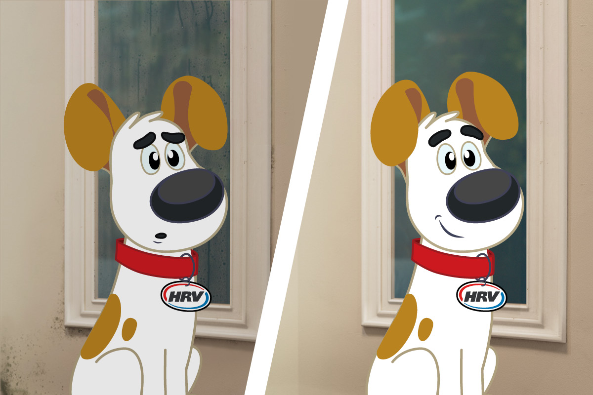 Breaking the mould – how to deal with an unpleasant winter visitor