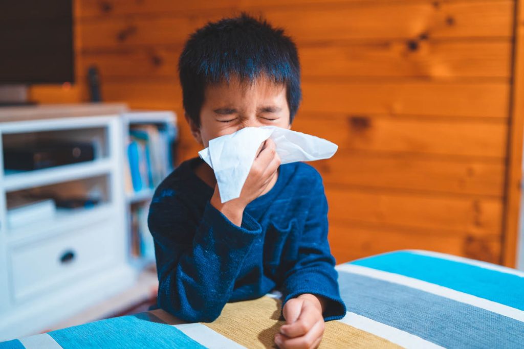 Meet our partners: Allergy NZ, Sensitive Choice and ARFNZ