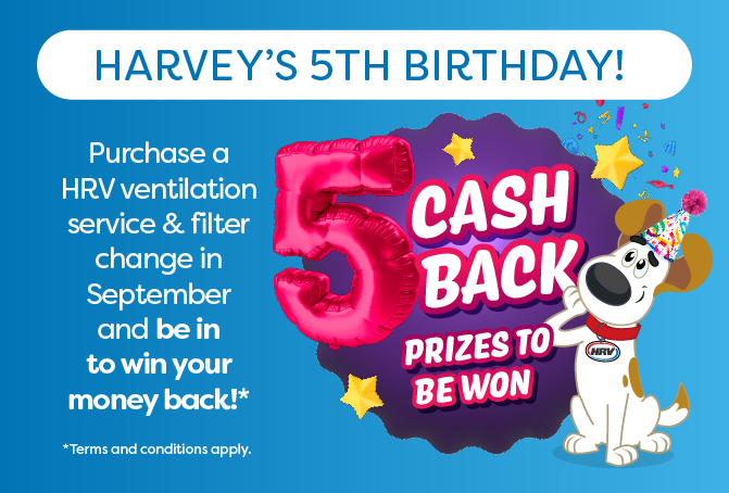 Harvey's 5th Birthday: Win your money back!