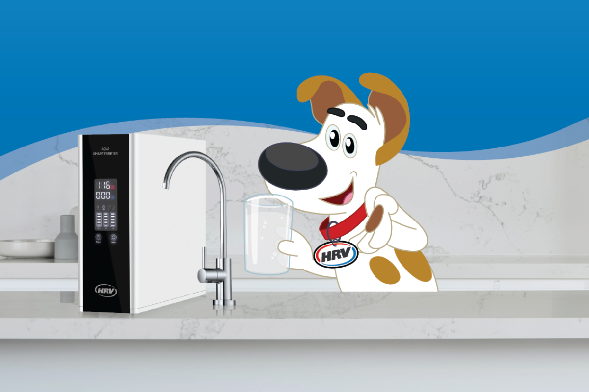 Reverse Osmosis Water Filter